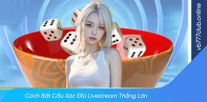 Mẹo bắt cầu xóc đĩa livestream thắng lớn